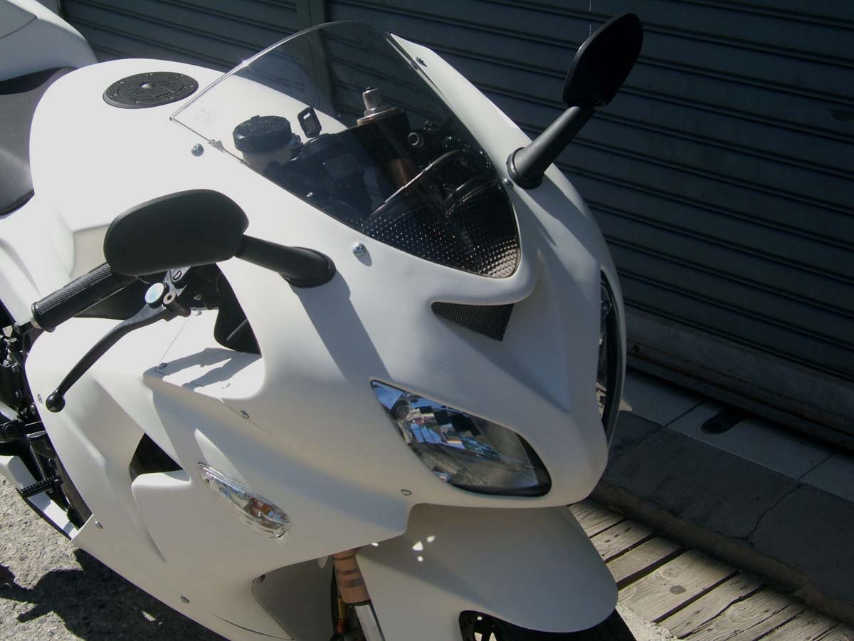 Kit, Complete Body Set (Street), ZXR250 Ninja Style - Image 3