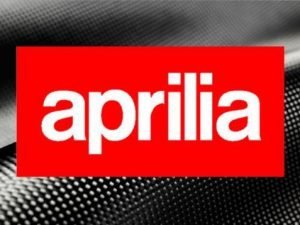 Aprilia RS660 & RS660 Tuono Carbon rear side panel set