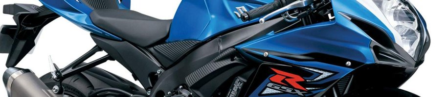 17gsx600catbanner