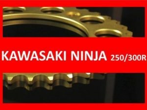 Ninja 250/300R 13-17