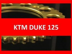 Duke 125 13-17