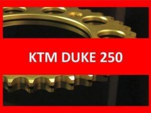 Duke 250 15-17