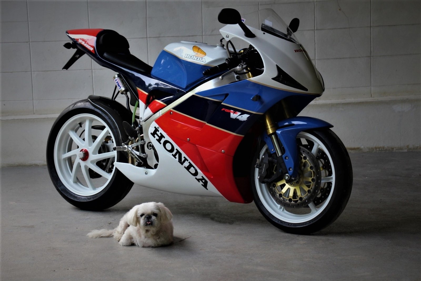 Kit, Fairing Set, GRP, (Street), NC30 GP-T - Image 4