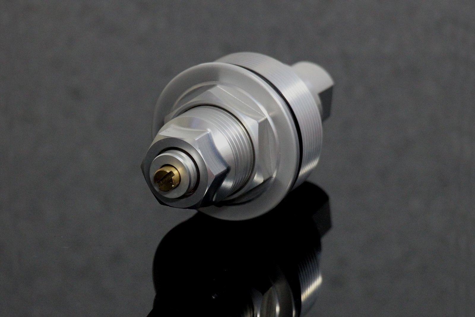 Fork Cap Kit, RGV250 VJ23 - Image 4