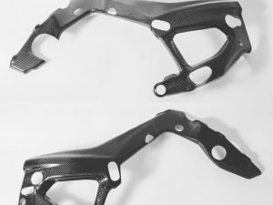 JAP4 BMW S1000RR ( 2019- ) Carbon Frame Cover Set
