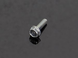 Bolt, Flange 6x20