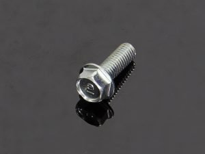 Bolt, Flange 8x22