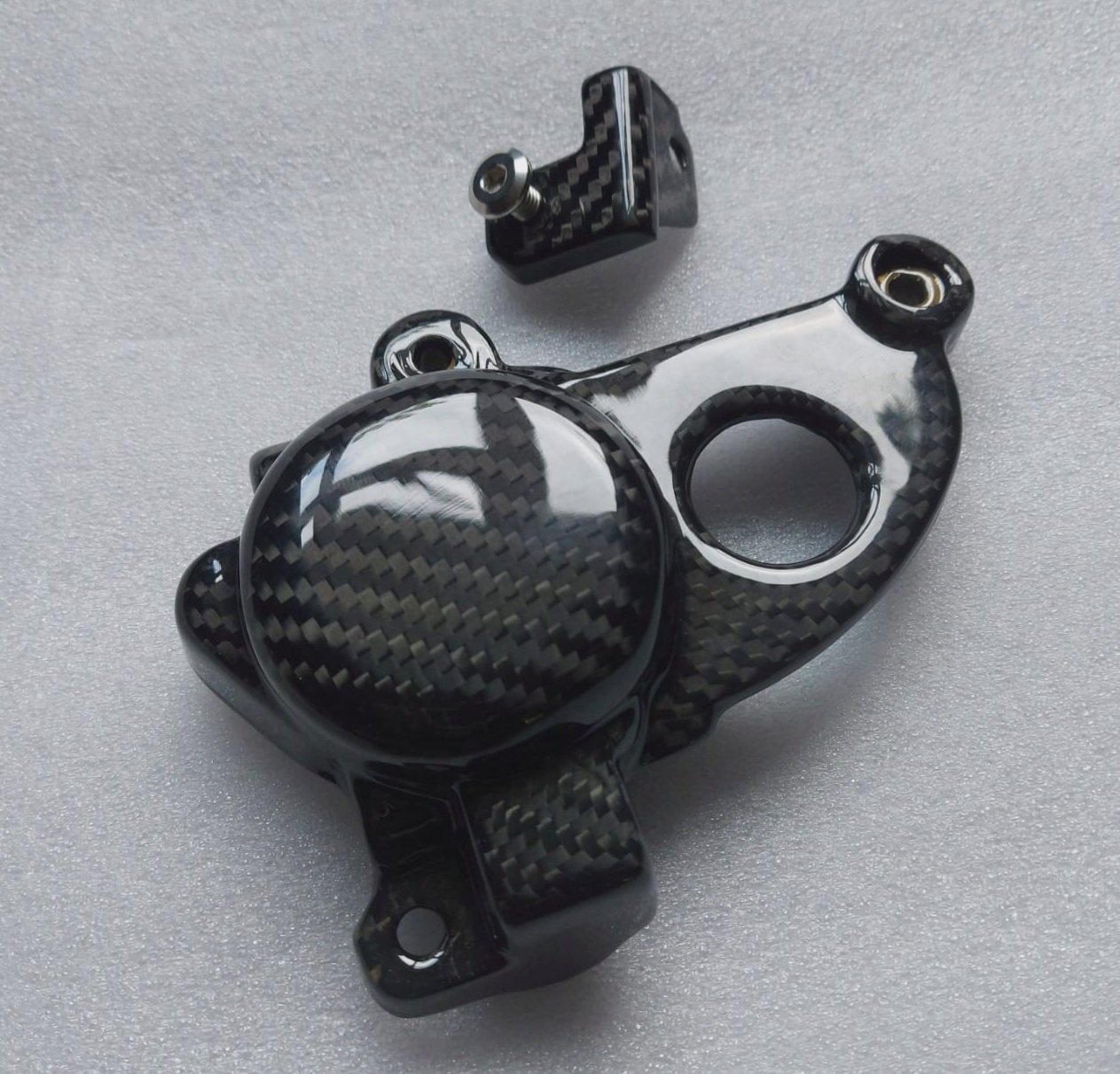 BMW S1000RR 2019 - carbon pick up cover - Image 2