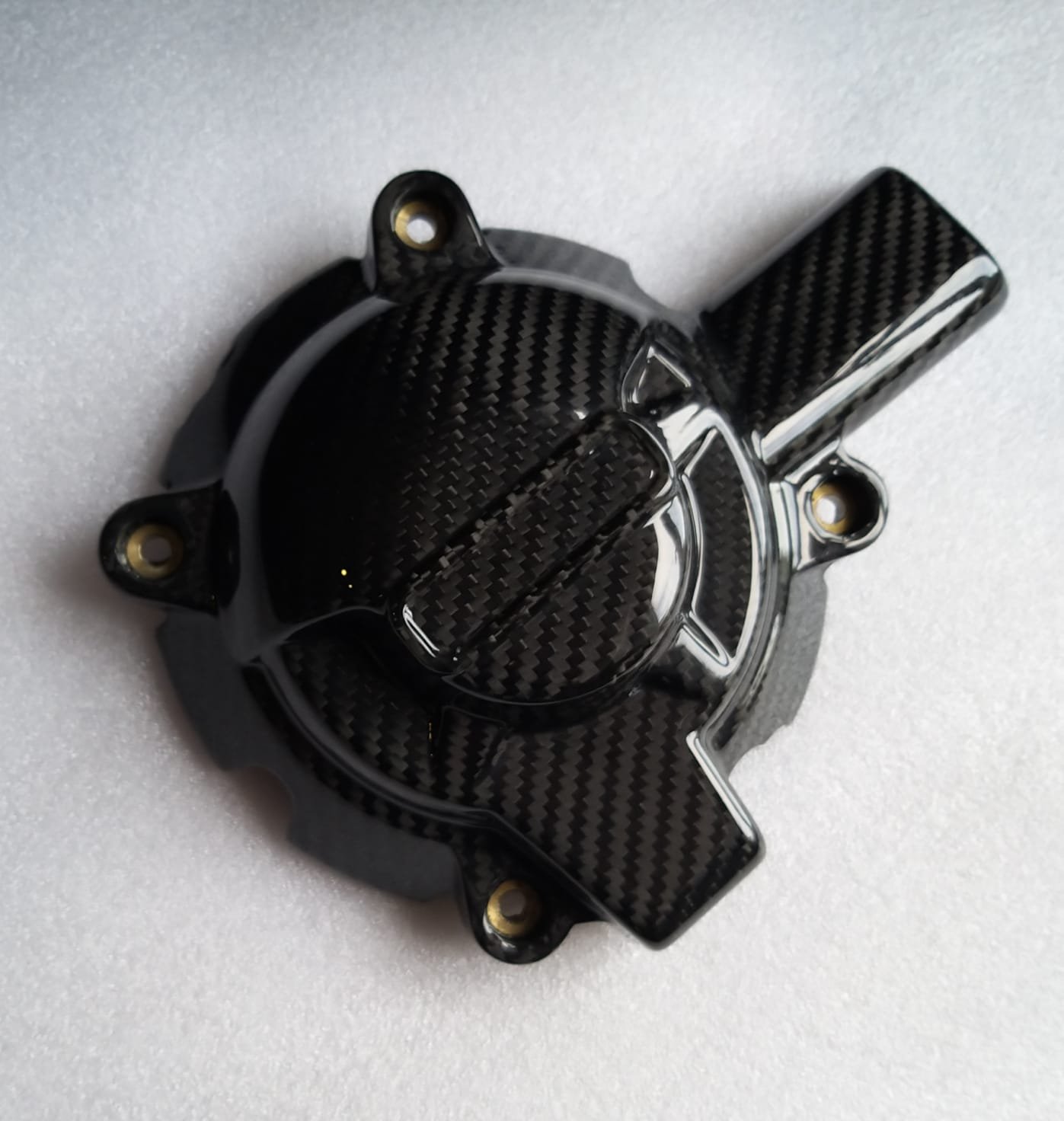 BMW S1000RR 2019- carbon alternator cover