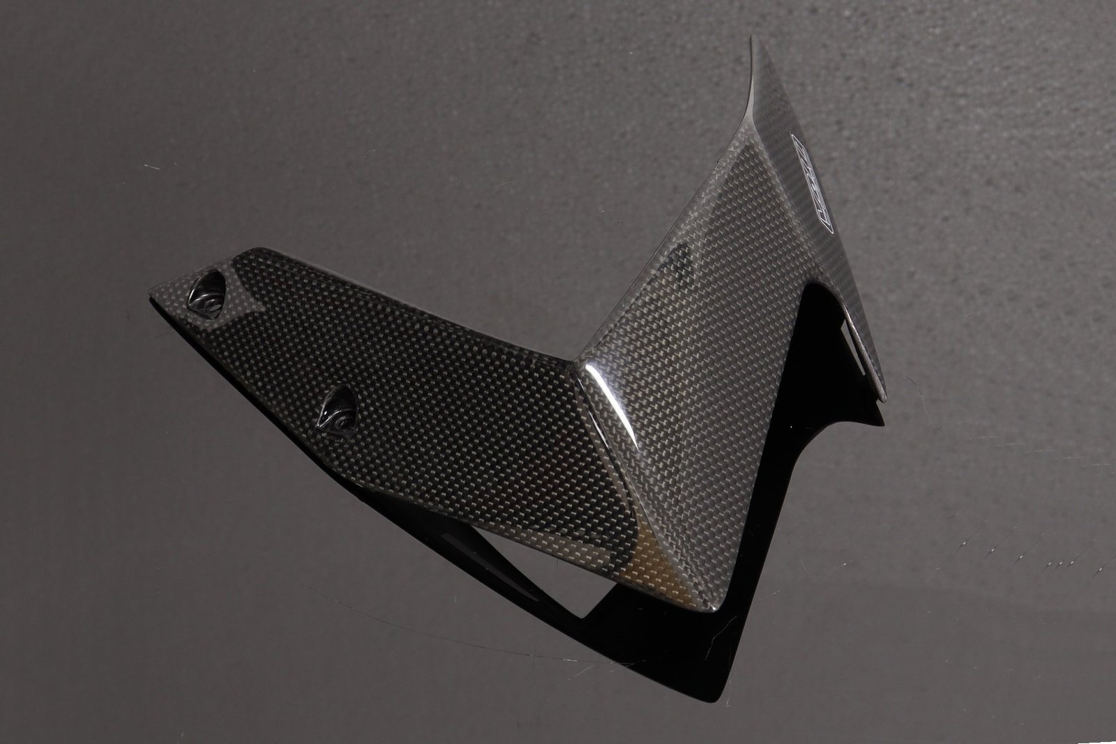 Side Cover, (Winglet) Carbon, Right, Aprilia RS-125 (2007-2012) - Image 2