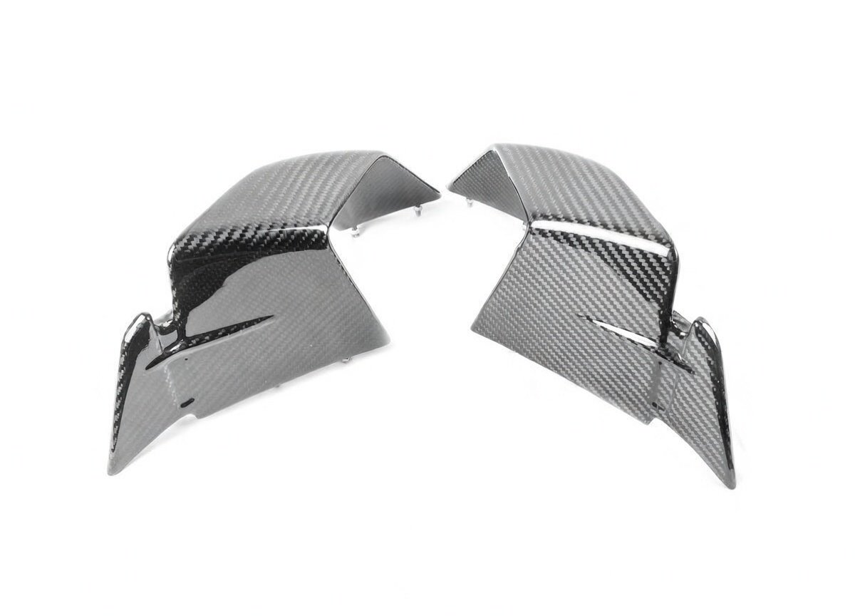 BMW S1000RR 2019 -2022 and M1000RR 2020-22 carbon fairing wings