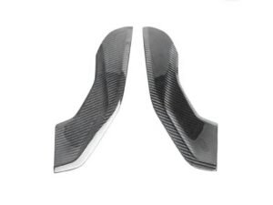 BMW S1000RR 2023 - 24 carbon undertank infill panel set