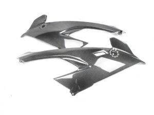 BMW S1000RR 2019 - 2022 carbon side panel set twill